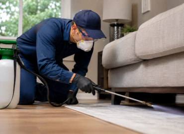 Professional pest control technician spraying under furniture in a Surrey home to eliminate carpet beetles hiding in tight spaces.