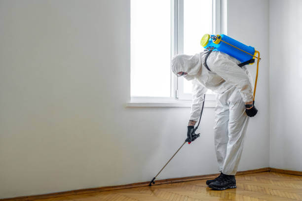 An exterminator in a white protective suit using a blue backpack sprayer to apply a liquid treatment along the wooden baseboards of an empty room.