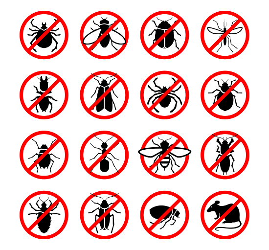 A collection of sixteen black silhouette icons of various pests, each inside a red "prohibited" circle. The set includes a tick, fly, beetle, mosquito, termite, moth, spider, stink bug, ant, wasp, cockroach, flea, and mouse.