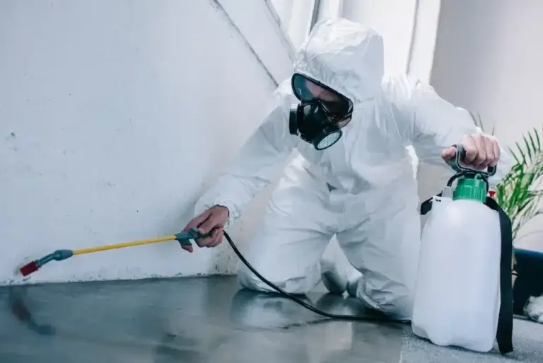 A pest control professional in a white hazmat suit and full-face respirator mask kneeling to spray a chemical treatment along the edge of a wall and floor using a hand-pump sprayer.
