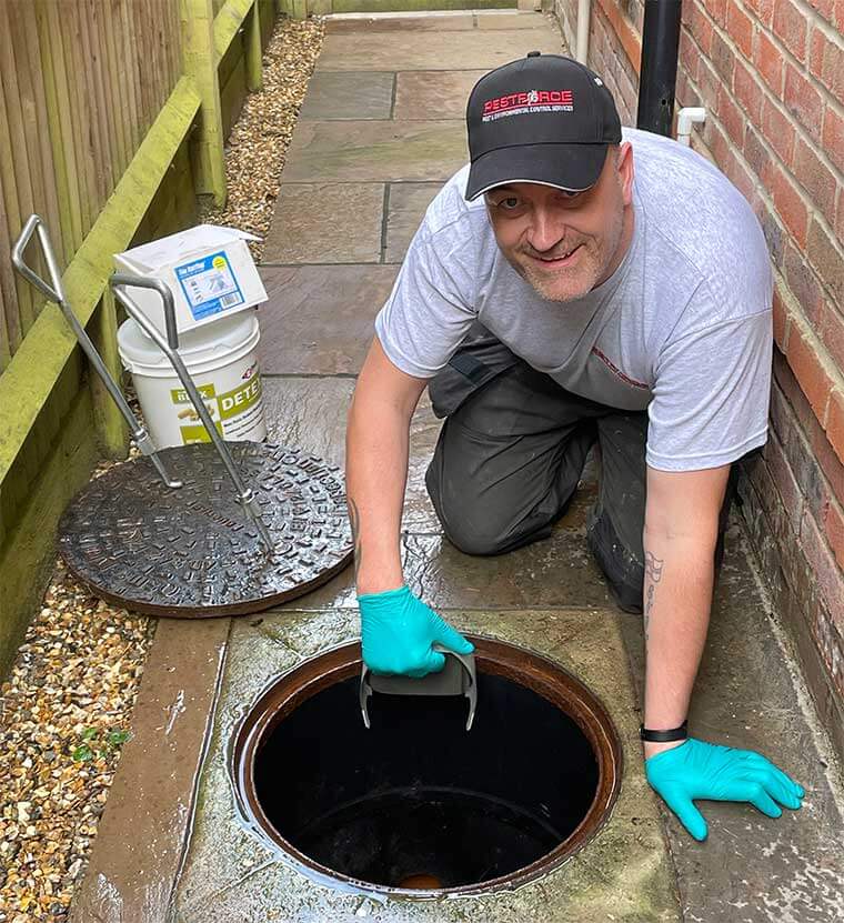 A pest control professional kneeling next to an open manhole cover in a residential side alley, inspecting the drain for signs of rat activity or entry points.