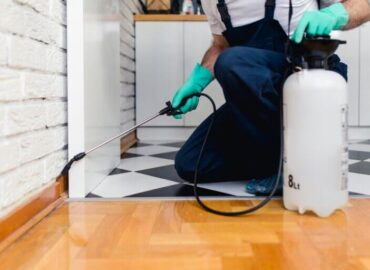 Fruit fly control technician spraying kitchen in Surrey BC home