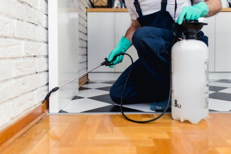 A pest control technician kneeling in a kitchen while using a hand-pump sprayer to apply a treatment along the floor joints and baseboards.